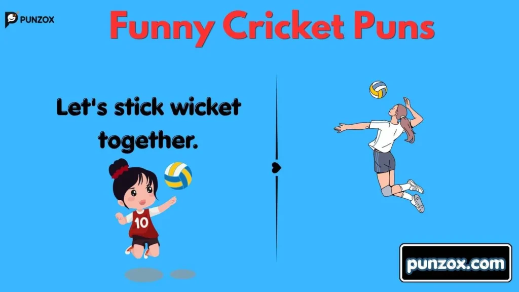 Funny Cricket Puns