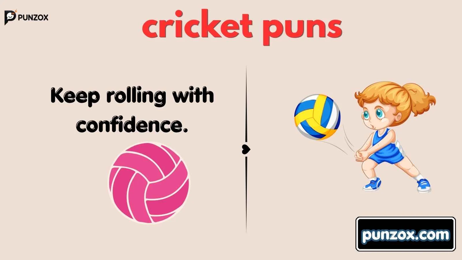 cricket puns